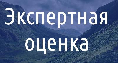 Экспертная оценка