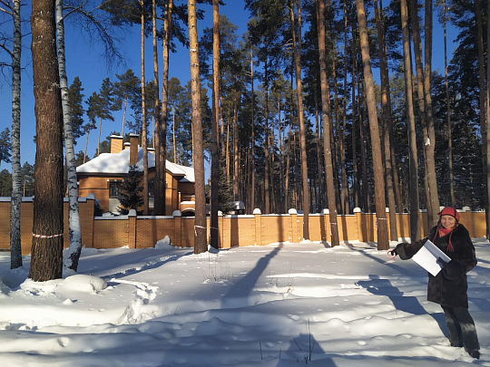 Строительство загородного дома (путешествие во времени)